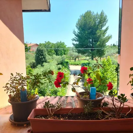 Le Palme * אורטונה